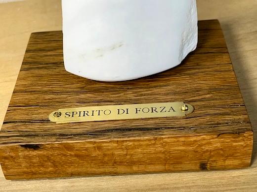 Spirito di forza